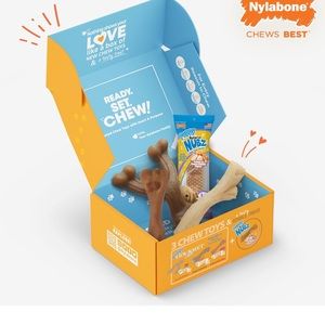 Nylabone puppy chew box. New in box.